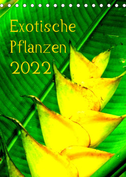 Exotische Pflanzen (Tischkalender 2022 DIN A5 hoch) von Brun,  Annina