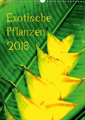 Exotische Pflanzen (Wandkalender 2018 DIN A3 hoch) von Brun,  Annina