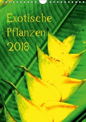 Exotische Pflanzen (Wandkalender 2018 DIN A4 hoch) von Brun,  Annina