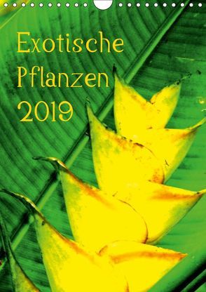 Exotische Pflanzen (Wandkalender 2019 DIN A4 hoch) von Brun,  Annina