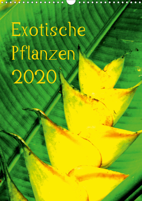 Exotische Pflanzen (Wandkalender 2020 DIN A3 hoch) von Brun,  Annina