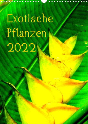 Exotische Pflanzen (Wandkalender 2022 DIN A3 hoch) von Brun,  Annina