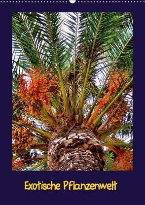 Exotische Pflanzenwelt (Wandkalender 2018 DIN A2 hoch) von Schneller,  Helmut