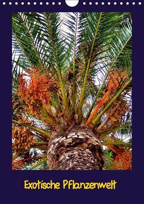 Exotische Pflanzenwelt (Wandkalender 2018 DIN A4 hoch) von Schneller,  Helmut