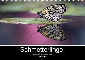 Exotische Schmetterlinge 2022 (Wandkalender 2022 DIN A2 quer) von Liesz,  Norbert