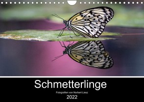 Exotische Schmetterlinge 2022 (Wandkalender 2022 DIN A4 quer) von Liesz,  Norbert