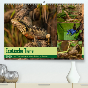 Exotische Tiere im Tropenhaus Klein Eden in Tettau (Premium, hochwertiger DIN A2 Wandkalender 2020, Kunstdruck in Hochglanz) von HeschFoto