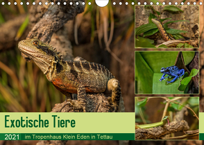 Exotische Tiere im Tropenhaus Klein Eden in Tettau (Wandkalender 2021 DIN A4 quer) von HeschFoto