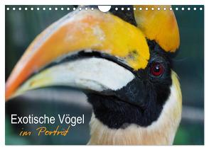 Exotische Vögel im Porträt (Wandkalender 2024 DIN A4 quer), CALVENDO Monatskalender von Williger,  Christina
