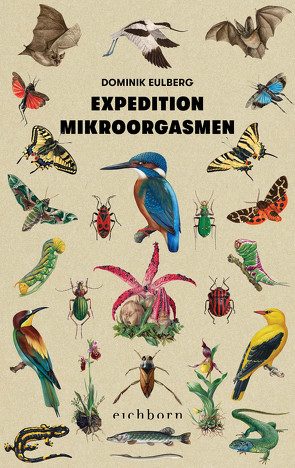 Expedition Mikroorgasmen von Eulberg,  Dominik
