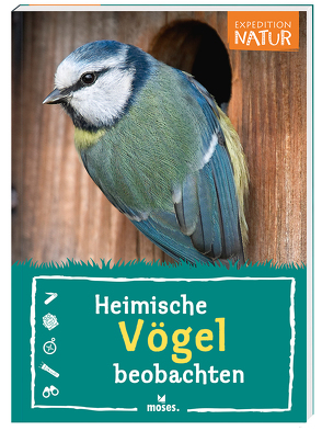 Expedition Natur: Heimische Vögel beobachten von Oftring,  Bärbel