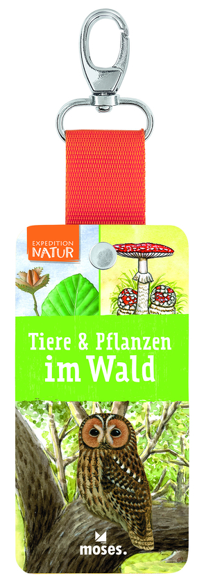 Expedition Natur – Tiere und Pflanzen im Wald von Kolb,  Arno, Mueller,  Thomas, Oftring,  Bärbel