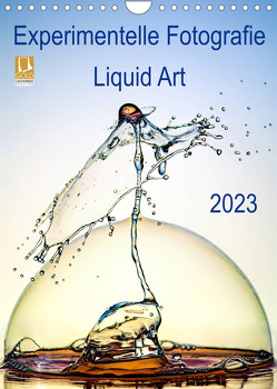 Experimentelle Fotografie Liquid Art (Wandkalender 2023 DIN A4 hoch) von Jager,  Henry