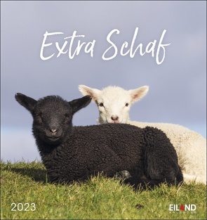 Extra Schaf Postkartenkalender 2023. Ein kleiner Kalender zum Aufstellen und Aufhängen. Süße Schafe in allen Lebenslagen in einem Postkarten-Fotokalender. von Eiland