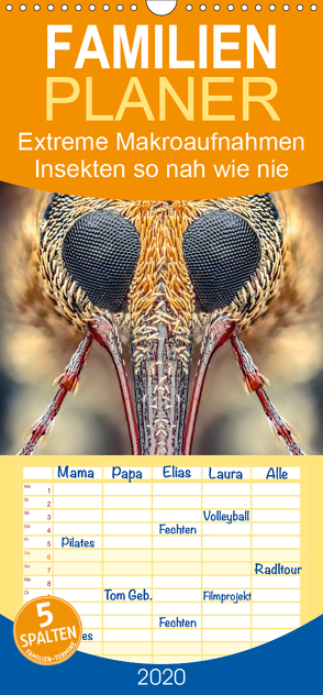 Extreme Makroaufnahmen – Insekten so nah wie nie – Familienplaner hoch (Wandkalender 2020 , 21 cm x 45 cm, hoch) von Ferdigrafie