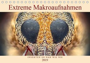 Extreme Makroaufnahmen – Insekten so nah wie nie (Tischkalender 2019 DIN A5 quer) von Ferdigrafie
