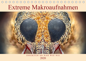 Extreme Makroaufnahmen – Insekten so nah wie nie (Tischkalender 2020 DIN A5 quer) von Ferdigrafie