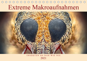 Extreme Makroaufnahmen – Insekten so nah wie nie (Tischkalender 2021 DIN A5 quer) von Ferdigrafie