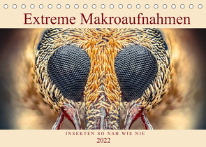 Extreme Makroaufnahmen – Insekten so nah wie nie (Tischkalender 2022 DIN A5 quer) von Ferdigrafie