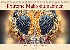 Extreme Makroaufnahmen – Insekten so nah wie nie (Tischkalender 2023 DIN A5 quer) von Ferdigrafie