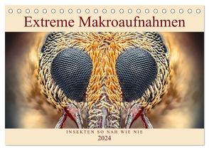 Extreme Makroaufnahmen – Insekten so nah wie nie (Tischkalender 2024 DIN A5 quer), CALVENDO Monatskalender von Ferdigrafie,  Ferdigrafie