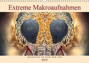 Extreme Makroaufnahmen – Insekten so nah wie nie (Wandkalender 2019 DIN A3 quer) von Ferdigrafie