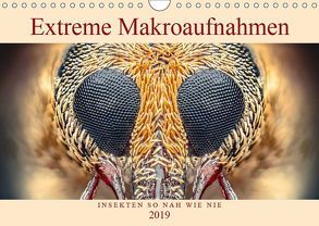 Extreme Makroaufnahmen – Insekten so nah wie nie (Wandkalender 2019 DIN A4 quer) von Ferdigrafie