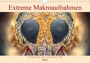 Extreme Makroaufnahmen – Insekten so nah wie nie (Wandkalender 2021 DIN A4 quer) von Ferdigrafie