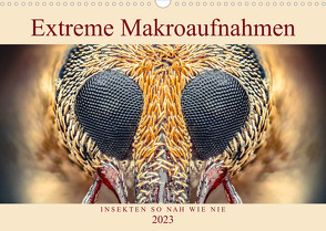 Extreme Makroaufnahmen – Insekten so nah wie nie (Wandkalender 2023 DIN A3 quer) von Ferdigrafie