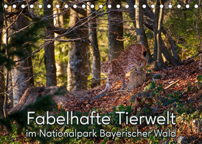 Fabelhafte Tierwelt im Nationalpark Bayerischer Wald (Tischkalender 2023 DIN A5 quer) von Haidl,  Christian