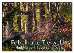 Fabelhafte Tierwelt im Nationalpark Bayerischer Wald (Tischkalender 2024 DIN A5 quer), CALVENDO Monatskalender von Haidl,  Christian