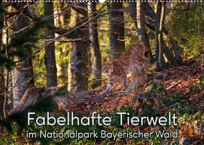 Fabelhafte Tierwelt im Nationalpark Bayerischer Wald (Wandkalender 2023 DIN A2 quer) von Haidl,  Christian