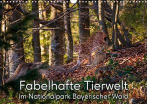 Fabelhafte Tierwelt im Nationalpark Bayerischer Wald (Wandkalender 2023 DIN A3 quer) von Haidl,  Christian