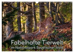 Fabelhafte Tierwelt im Nationalpark Bayerischer Wald (Wandkalender 2024 DIN A3 quer), CALVENDO Monatskalender von Haidl,  Christian