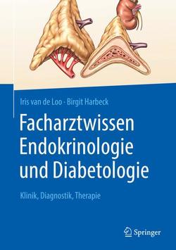 Facharztwissen Endokrinologie und Diabetologie von Harbeck,  Birgit, van de Loo,  Iris