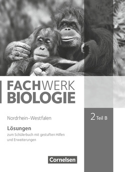 Fachwerk Biologie – Nordrhein-Westfalen 2013 – Band 2 – Teil B von Hampl,  Udo, Janik,  Kathrin, Marquarth,  Andreas, Pohlmann,  Anke, Pondorf,  Peter, Rehbach,  Reinhold, Ritter,  Matthias, Stelzig,  Ingmar, Zitzmann,  Josef Johannes