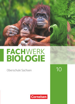 Fachwerk Biologie – Sachsen – 10. Schuljahr