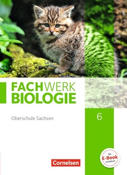 Fachwerk Biologie – Sachsen – 6. Schuljahr von Hampl,  Udo, Pohlmann,  Anke, Pondorf,  Peter, Stelzig,  Ingmar, Tessendorf,  Lysann