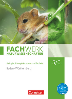 Fachwerk Naturwissenschaften – Baden-Württemberg – 5./6. Schuljahr: Biologie, Naturphänomene und Technik von Baur,  Thomas, Dörflinger,  Ulrike, Fallscheer,  Herbert, Freiling-Fischer,  Elke, Hampl,  Udo, Harbauer,  Stefanie, Harm,  Andreas G., Herrmann,  Marianne, Janik,  Kathrin, Kunst,  Isabelle, Lang,  Manfred, Marquarth,  Andreas, Miehling,  Andreas, Missale,  Bettina, Oberschelp,  Katrin, Pohlmann,  Anke, Pondorf,  Peter, Ranieri,  Alexandra, Rau,  Melanie, Rehbach,  Reinhold, Ritter,  Matthias, Schink,  Juliane, Schulte,  Alexandra, Steinhilber,  Michaela, Stelzig,  Ingmar, Tegtmeyer,  Ulrike, Wachs,  Steffen, Wacker,  Markus, Wagner,  Wilfried, Wetzel,  Johanna, Zitzmann,  Josef Johannes