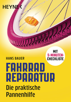 Fahrradreparatur von Bauer,  Hans