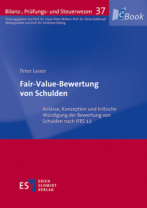 Fair-Value-Bewertung von Schulden von Lauer,  Peter