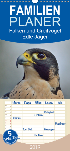 Falken und Greifvögel. Edle Jäger – Familienplaner hoch (Wandkalender 2019 , 21 cm x 45 cm, hoch) von Stanzer,  Elisabeth