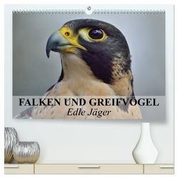 Falken und Greifvögel. Edle Jäger (hochwertiger Premium Wandkalender 2024 DIN A2 quer), Kunstdruck in Hochglanz von Stanzer,  Elisabeth