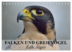 Falken und Greifvögel. Edle Jäger (Tischkalender 2024 DIN A5 quer), CALVENDO Monatskalender von Stanzer,  Elisabeth
