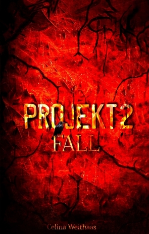 Fall – Projekt II von Weithaas,  Celina