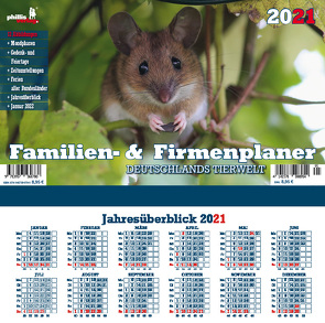 Familen- & Firmenplaner 2021 von Neubert,  Jörg