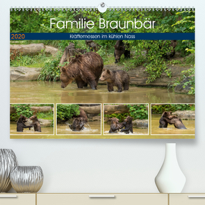 Familie Braunbär – Kräftemessen im kühlen Nass (Premium, hochwertiger DIN A2 Wandkalender 2020, Kunstdruck in Hochglanz) von Photo4emotion.com