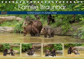 Familie Braunbär – Kräftemessen im kühlen Nass (Tischkalender 2020 DIN A5 quer) von Photo4emotion.com
