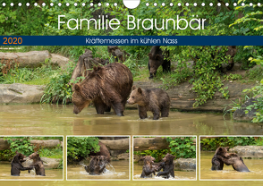 Familie Braunbär – Kräftemessen im kühlen Nass (Wandkalender 2020 DIN A4 quer) von Photo4emotion.com