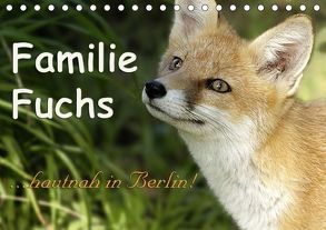 Familie Fuchs hautnah in Berlin (Tischkalender 2018 DIN A5 quer) von Brinker,  Sabine
